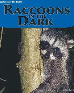 Raccoons in the Dark