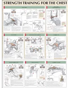 Strength Training For The Chest