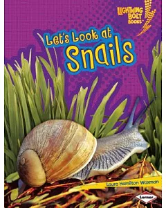 Let’s Look at Snails