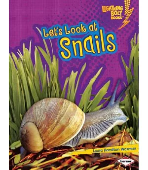 Let’s Look at Snails