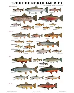 The Trout of North America