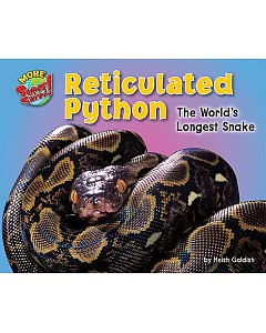 Reticulated Python: The World’s Longest Snake