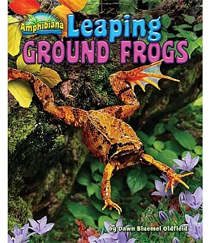 Leaping Ground Frogs