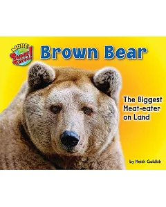 Brown Bear: The Biggest Meat-Eater on Land