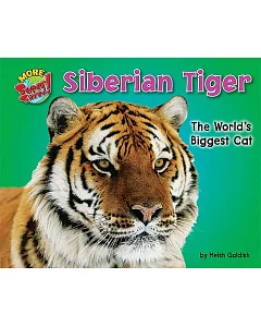Siberian Tiger: The World’s Biggest Cat