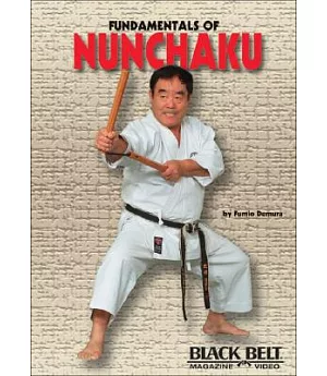 Fundamentals of Nunchaku