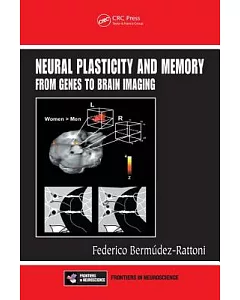 Neural Plasticity And Memory: From Genes to Brain Imaging