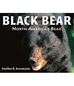 Black Bear: North America’s Bear