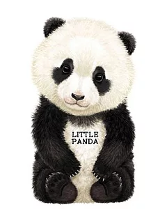 Little Panda