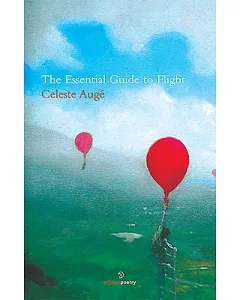 The Essential Guide to Flight