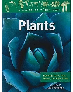 Plants: Flowering Plants, Ferns, Mosses, and Other Plants