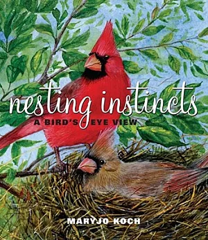 Nesting Instincts: A Bird’s-Eye View