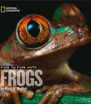 Face to Face With Frogs