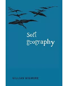 Soft Geography