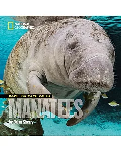 Face to Face With Manatees