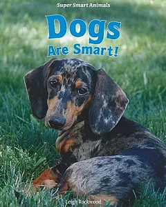 Dogs Are Smart!