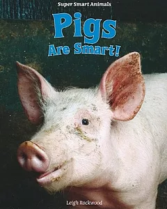 Pigs Are Smart!