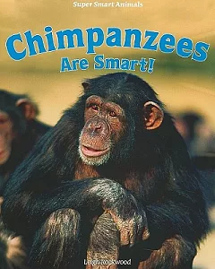 Chimpanzees Are Smart!