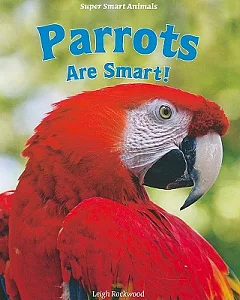 Parrots Are Smart!