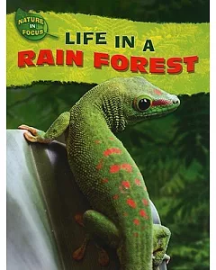 Life in a Rain Forest