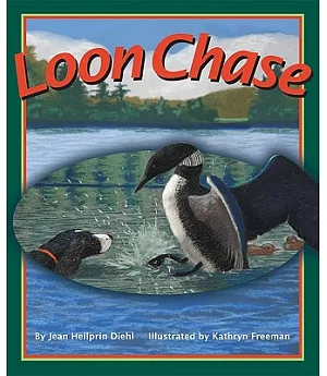 Loon Chase