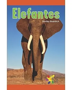 Elefantes/ Big Elephants