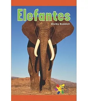 Elefantes/ Big Elephants