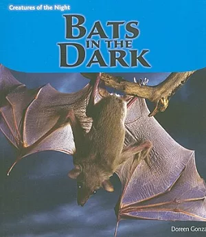 Bats in the Dark