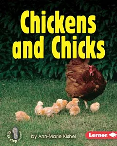 Chickens and Chicks