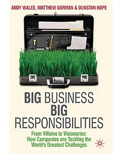 Big Business, Big Responsibilities