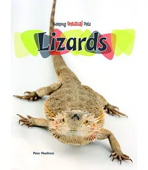 Lizards