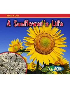 A Sunflower’s Life