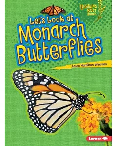 Let’s Look at Monarch Butterflies