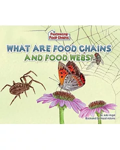 What Are Food Chains and Food Webs?