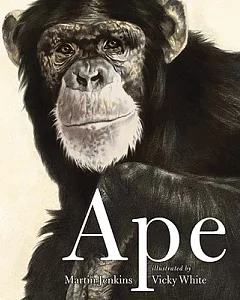 Ape