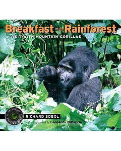 Breakfast in the Rainforest: A Visit With Mountain Gorillas