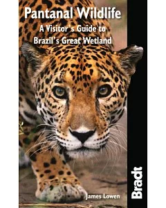 Pantanal Wildlife: A Visitor’s Guide to Brazil’s Great Wetland