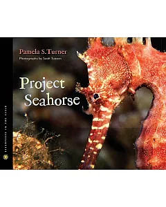 Project Seahorse