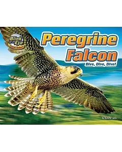 Peregrine Falcon: Dive, Dive, Dive!