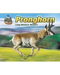Pronghorn: Long-Distance Runner!
