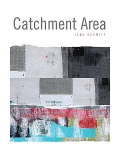 Catchment Area