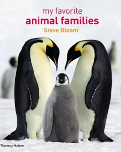 My Favorite Animal Families