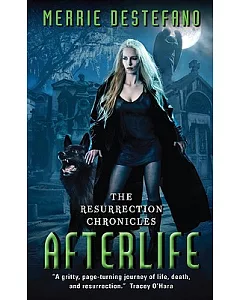 Afterlife: The Resurrection Chronicles
