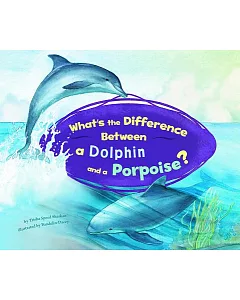 What’s the Difference Between a Dolphin and a Porpoise?