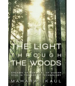 The Light Through the Woods