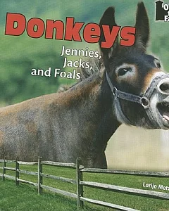 Donkeys: Jennies, Jacks, and Foals