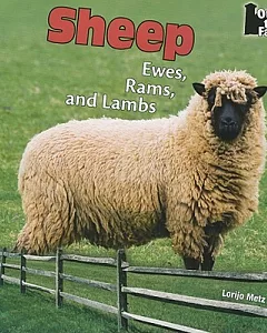 Sheep: Ewes, Rams, and Lambs