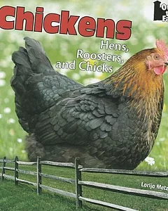 Chickens: Hens, Roosters, and Chicks