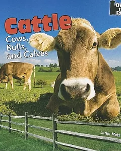 Cattle: Cows, Bulls, and Calves