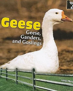 Geese: Geese, Ganders, and Goslings